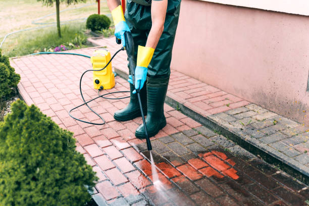 Best Solar Panel Cleaning  in Rosedale, MD